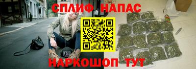 мдпв Можга
