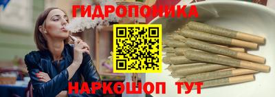 мдпв Можга