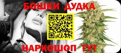 мдпв Можга