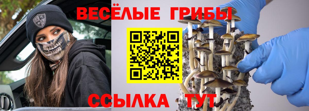 Галлюциногенные грибы ЛСД  Вход с VPN  Северобайкальск 